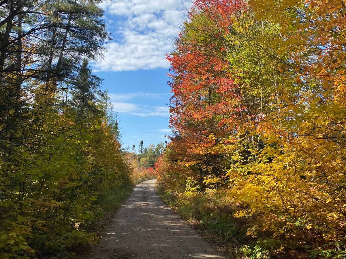 Huron Bay-Peshekee Grade Loop photo 6
