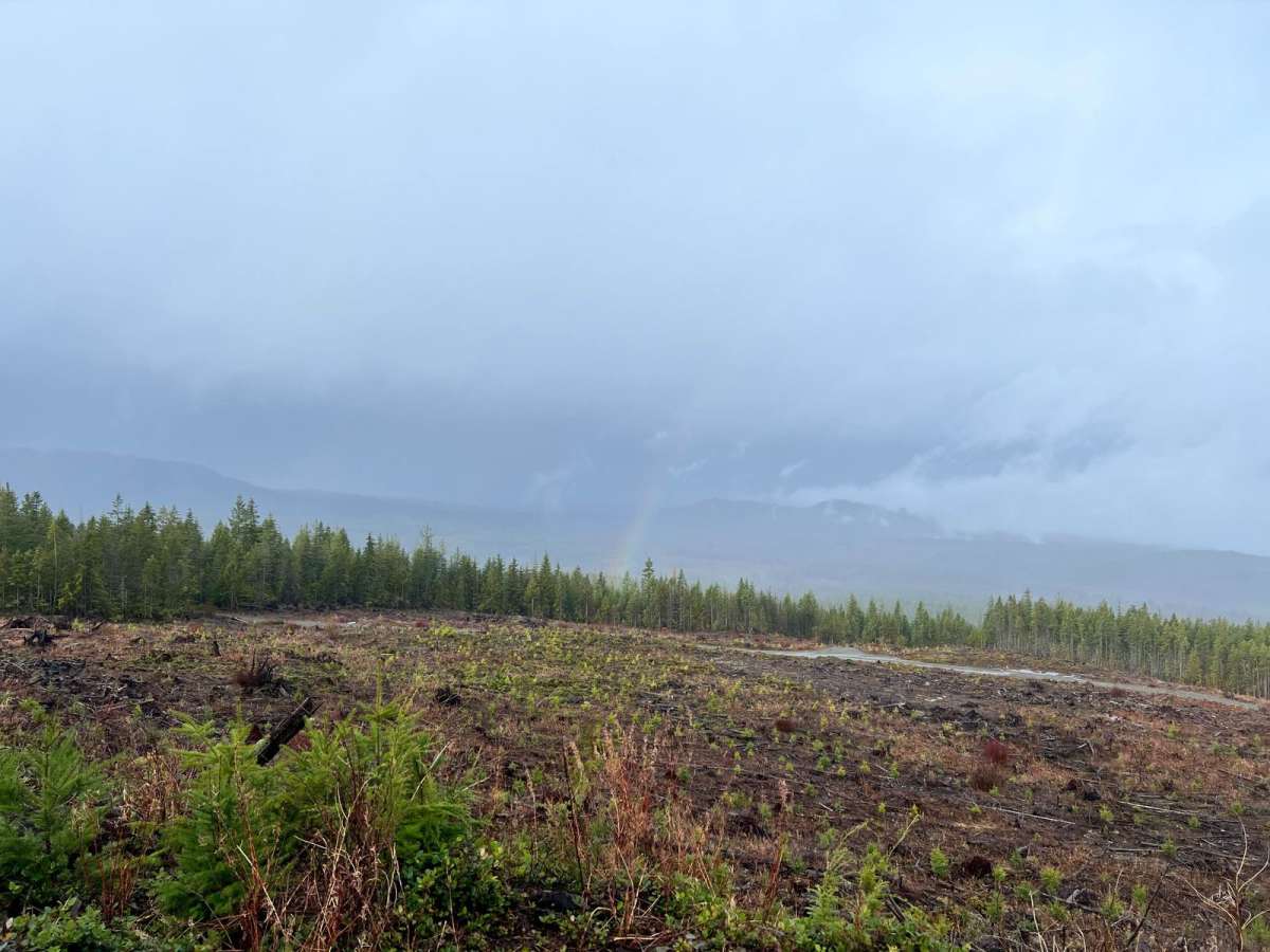 Lucid Lake photo 4
