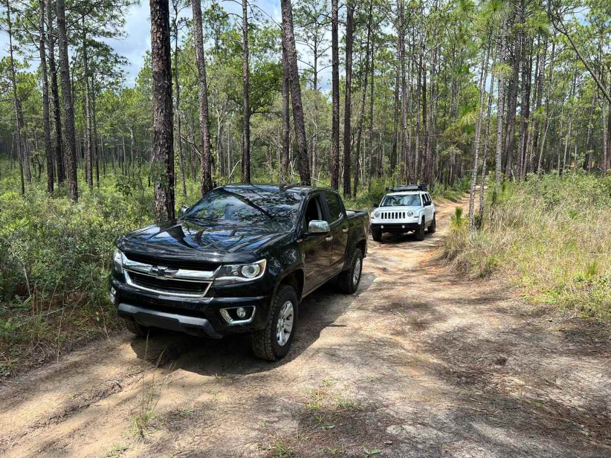 Citrus Wildlife Management | Trail 18 photo 3