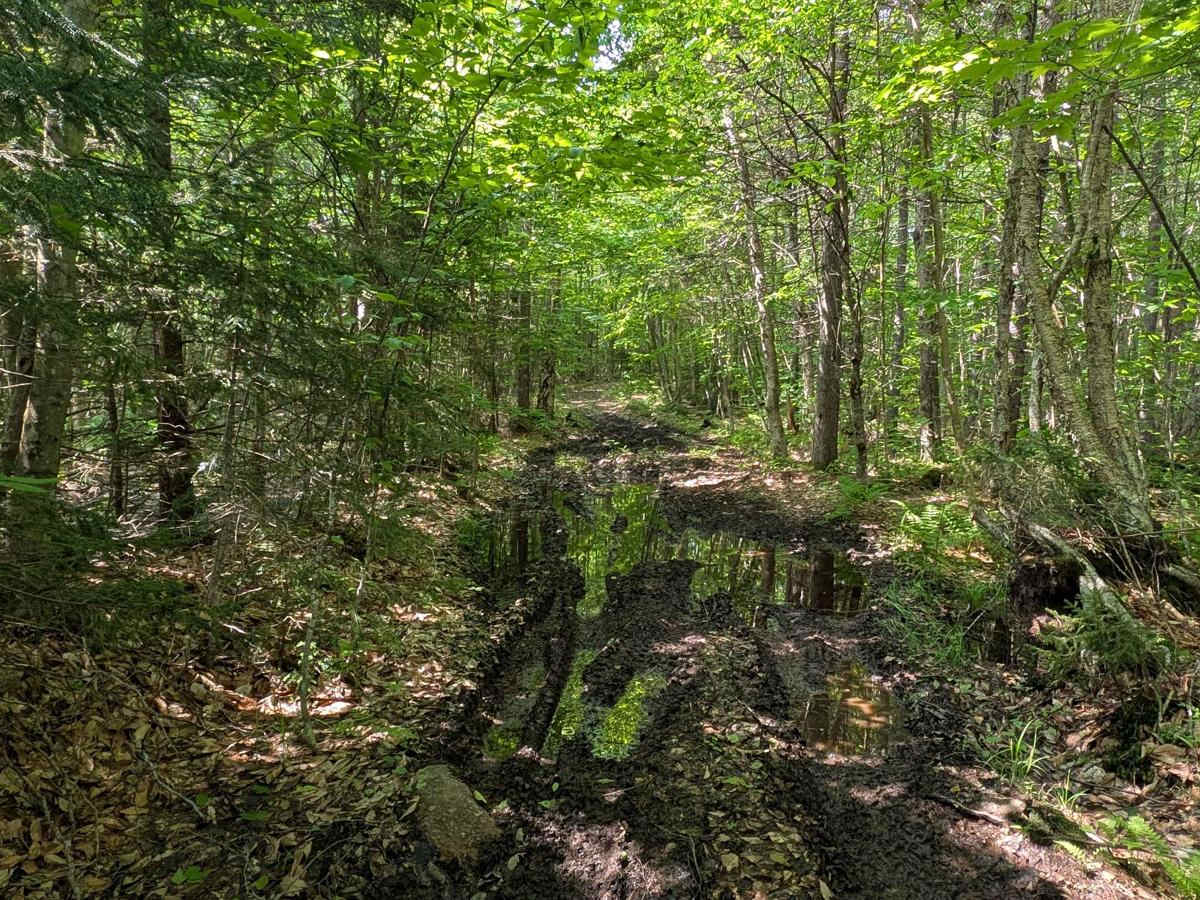 Long Pond Connector Road photo 3