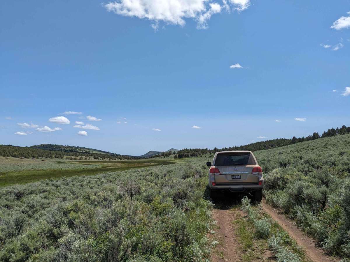 Virginia Valley to Stone House Road (Oregon BDR) photo 2