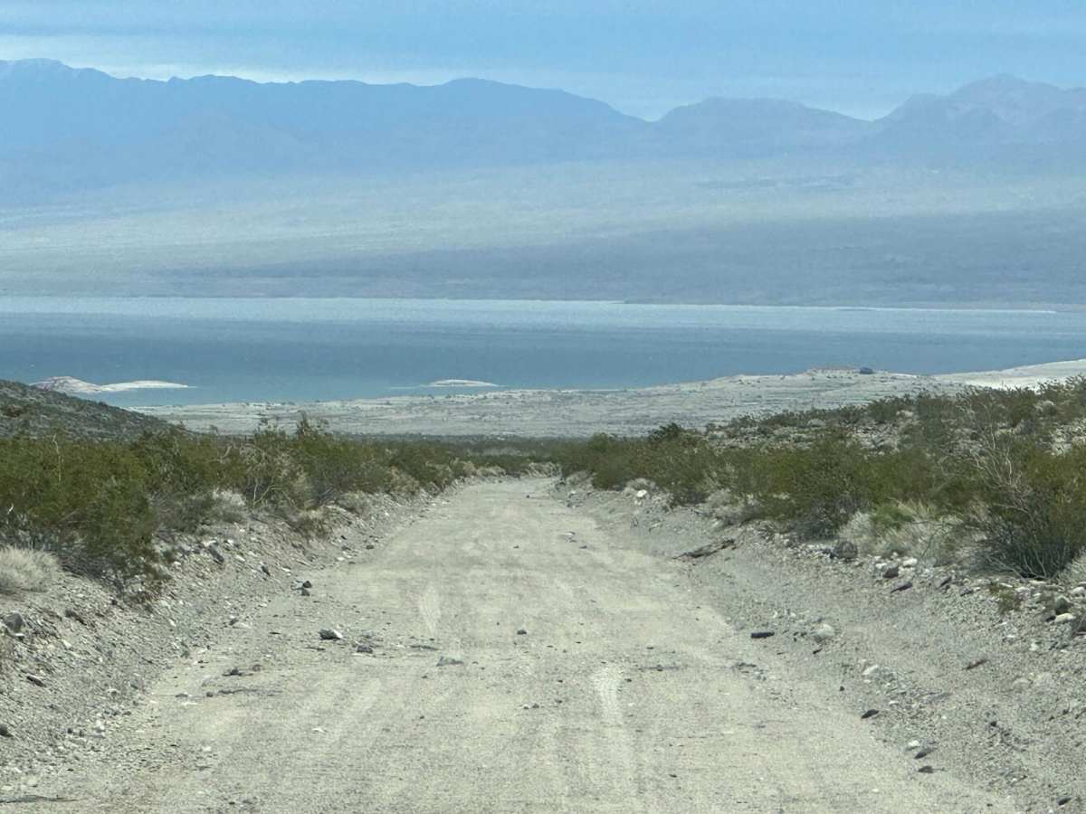 Bonelli Landing photo 3