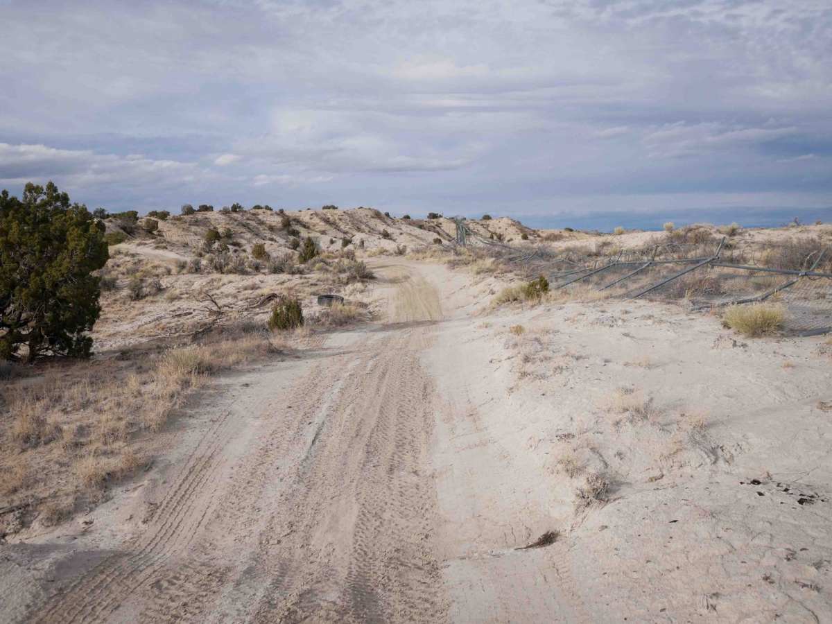 Bloomfield SXS  photo 5