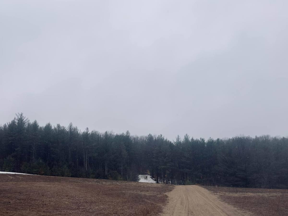 Traverse Trail- LP55 photo 5