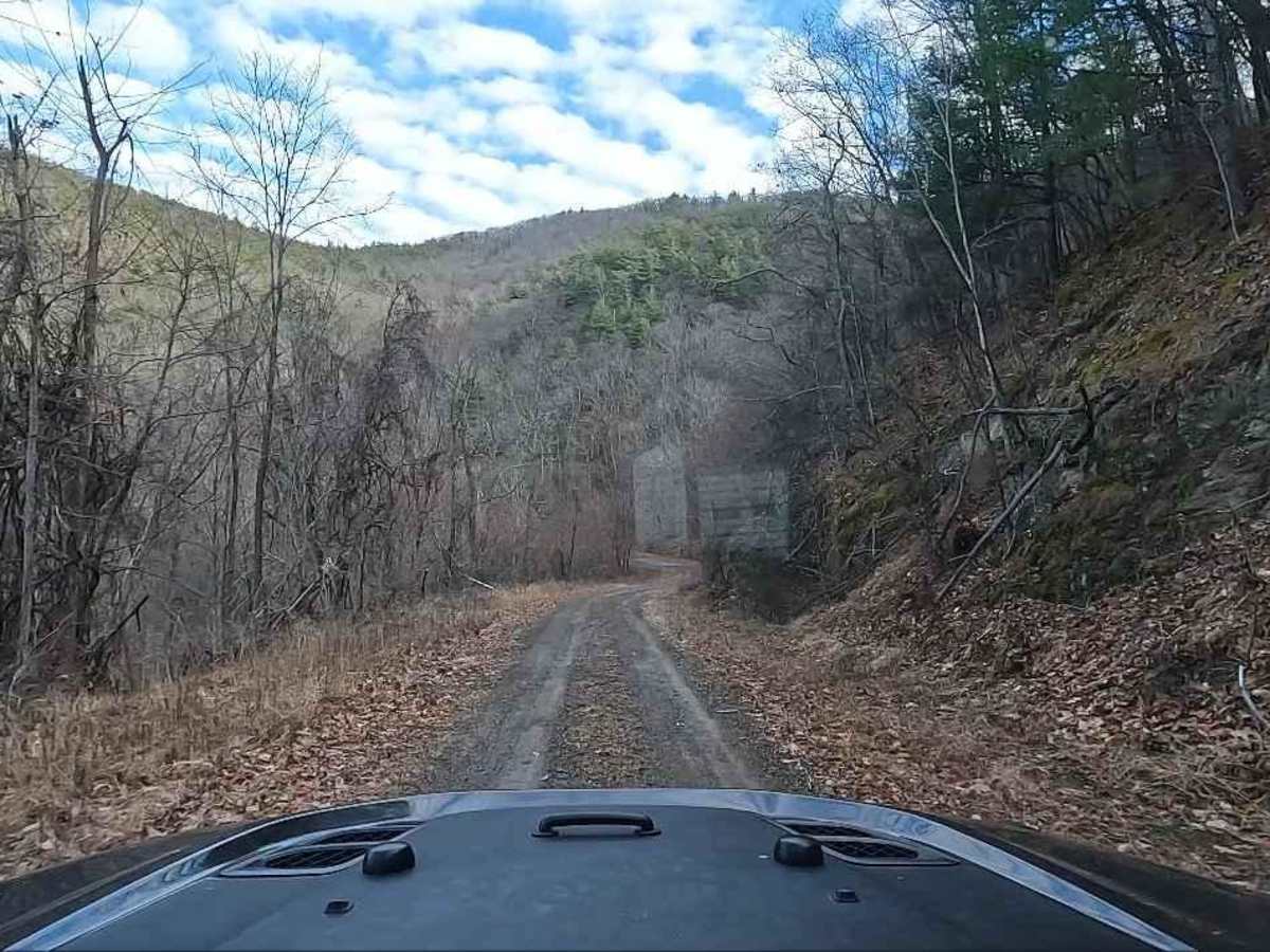 FS-394 Sugar Tree trail photo