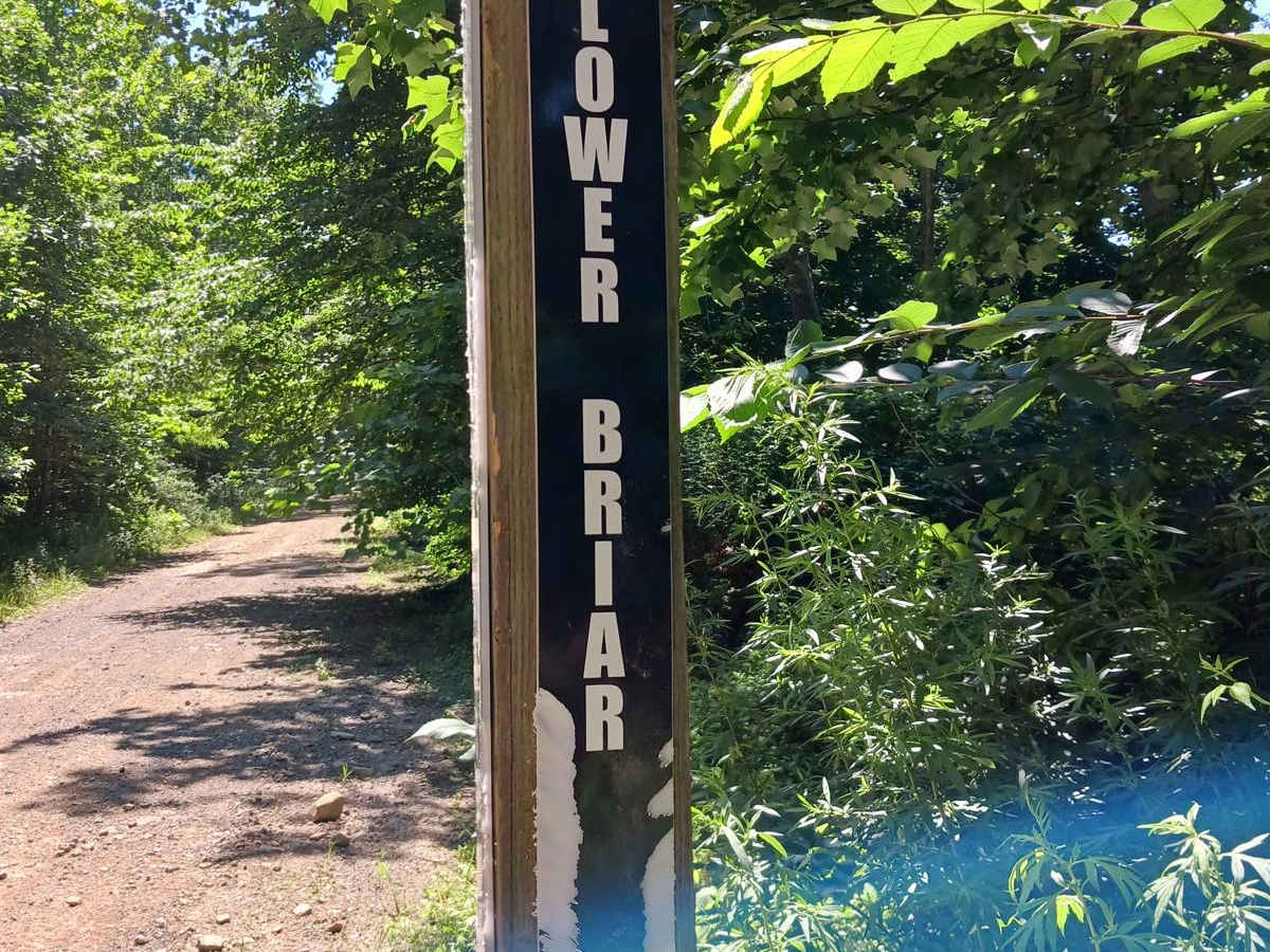 Lower Briar Path trail photo