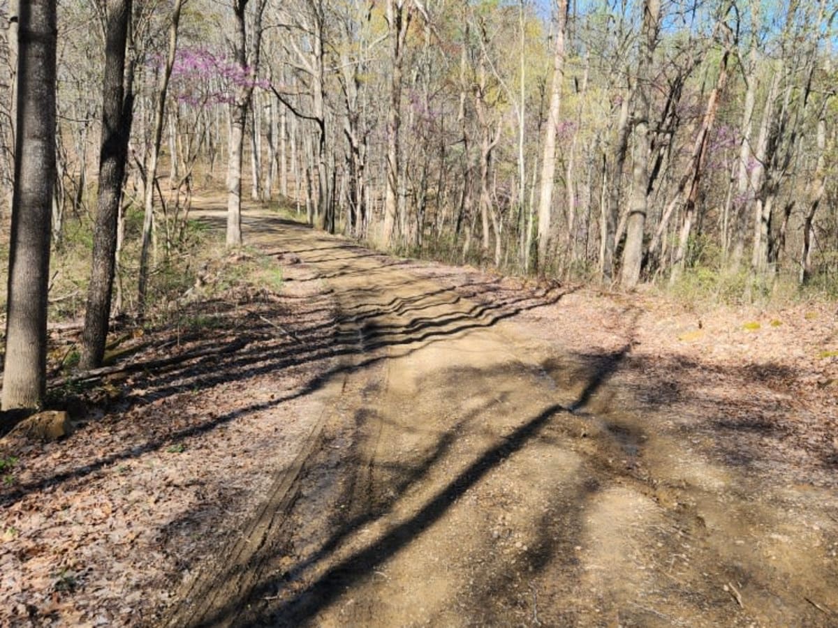 Sunshine Ridge Road photo 6
