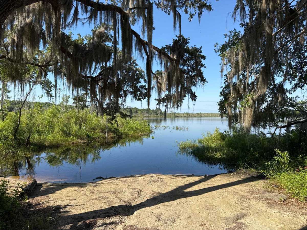 Lake Jumper - ONF 5-18.9 trail photo