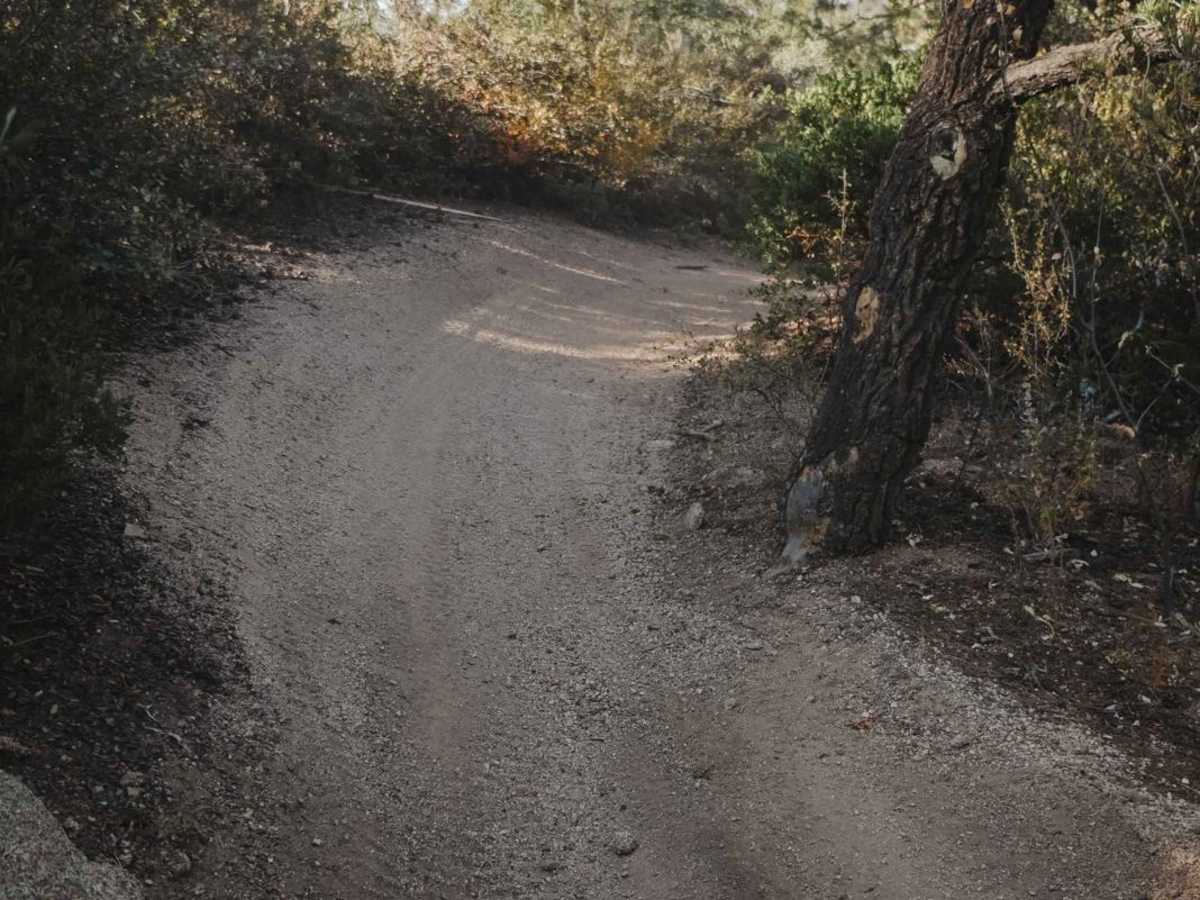 Trail 9 photo 5