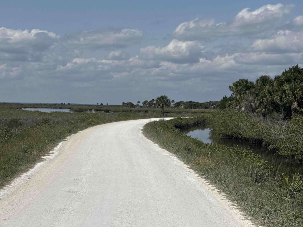 Black Point Wildlife Drive photo 4