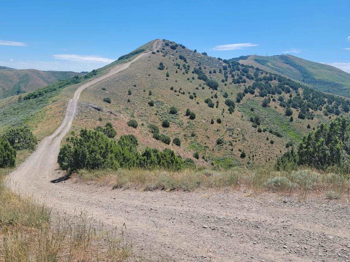 Route 352 to Chinese Peak photo 6