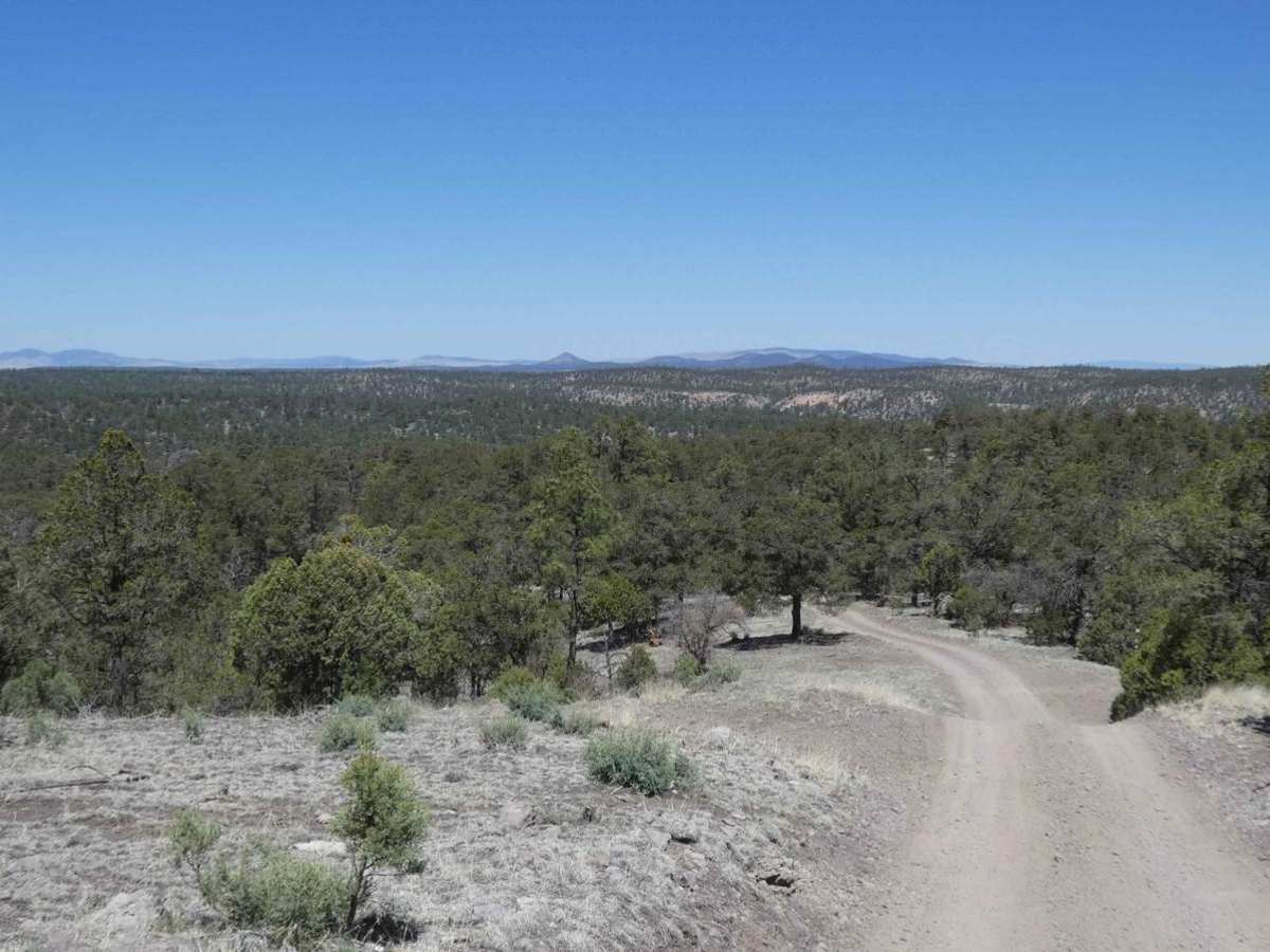 Frank's Ranch Road trail photo