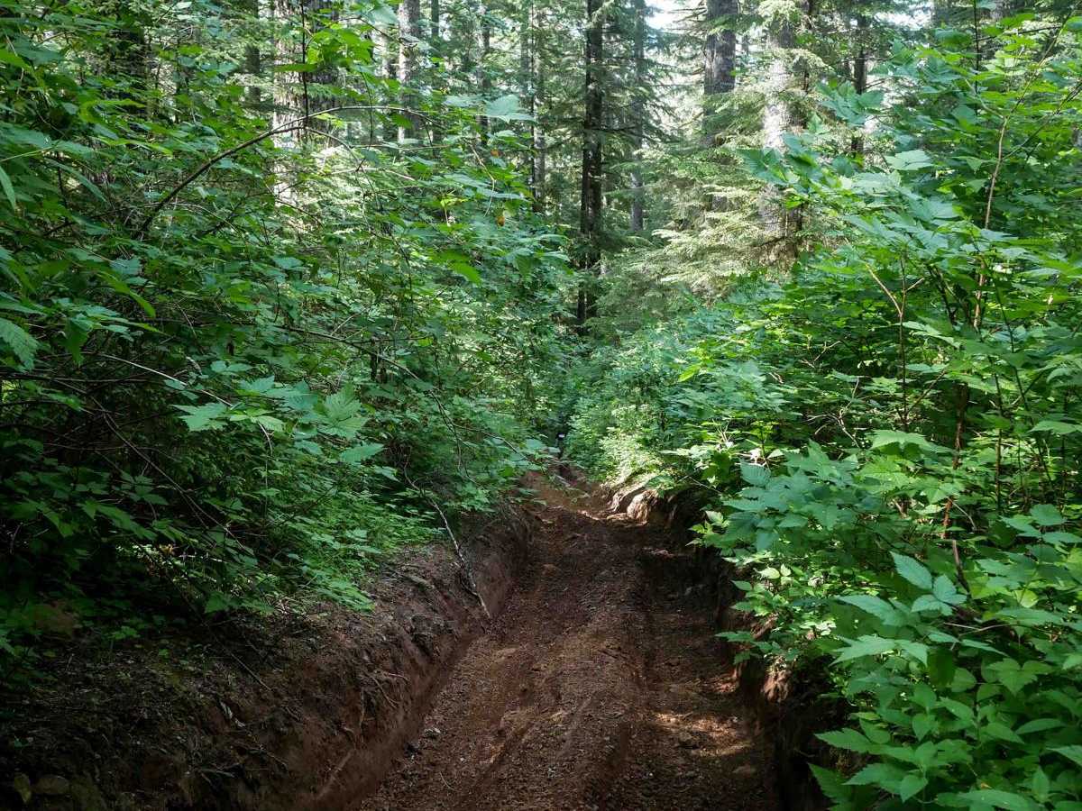 Hunt Hill photo 6