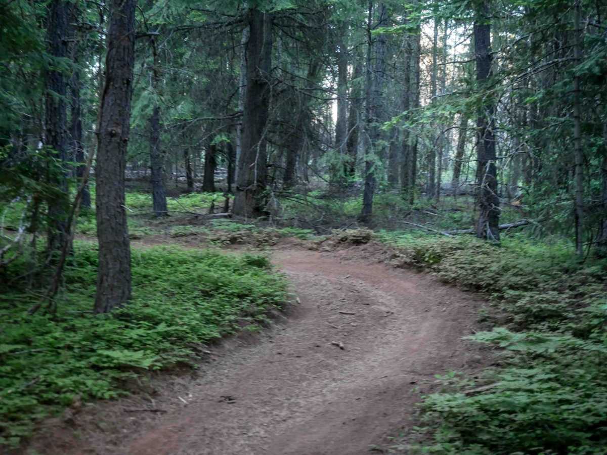 576E trail photo