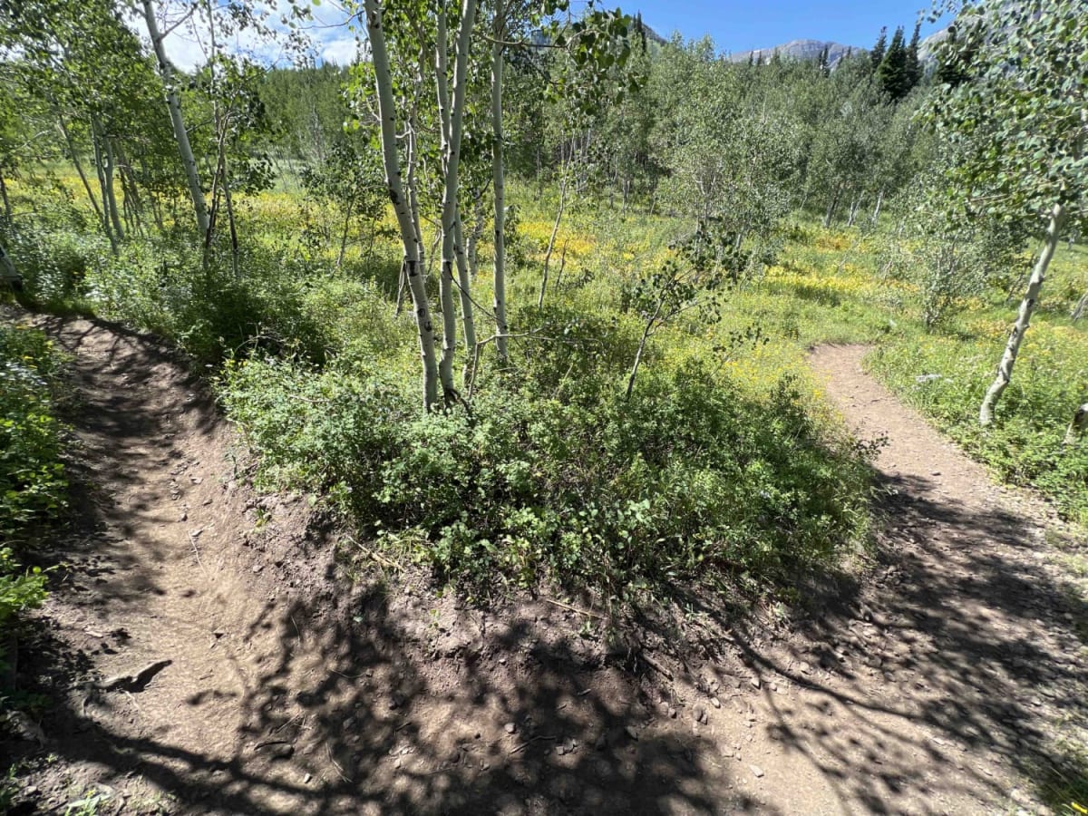 Willow Hollow (2159) photo 3
