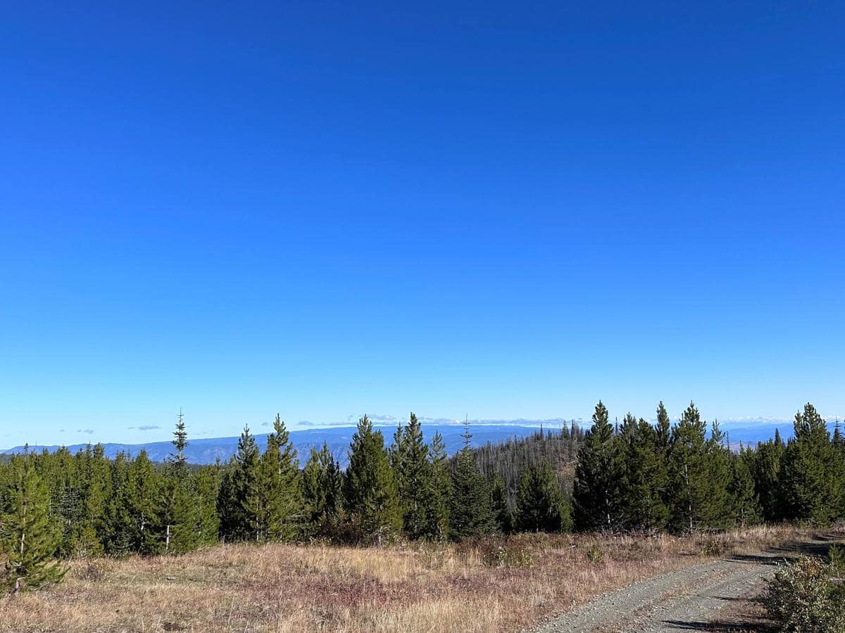 Chuwhels Mountain Road photo 4