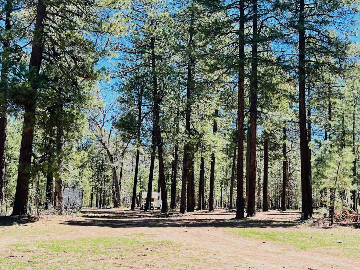 Pivot Rock Canyon photo 4