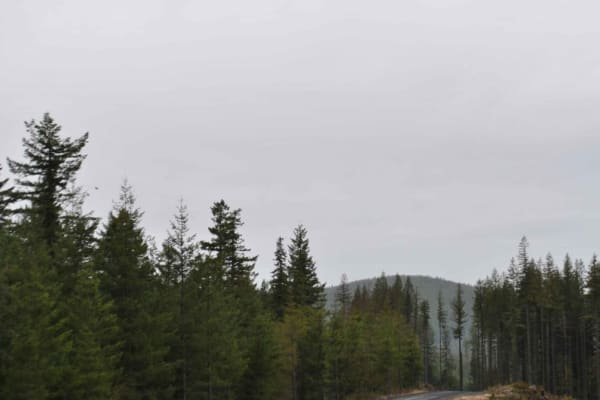 DNR 8 to Elbe Hills OHV