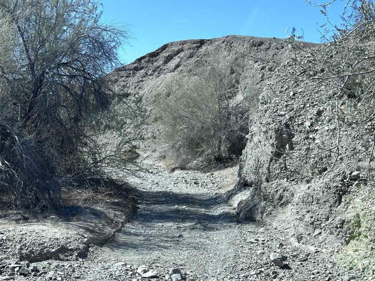 LCR1845 trail photo