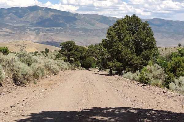 Revenue Gulch (FS 40577, BLM 210)