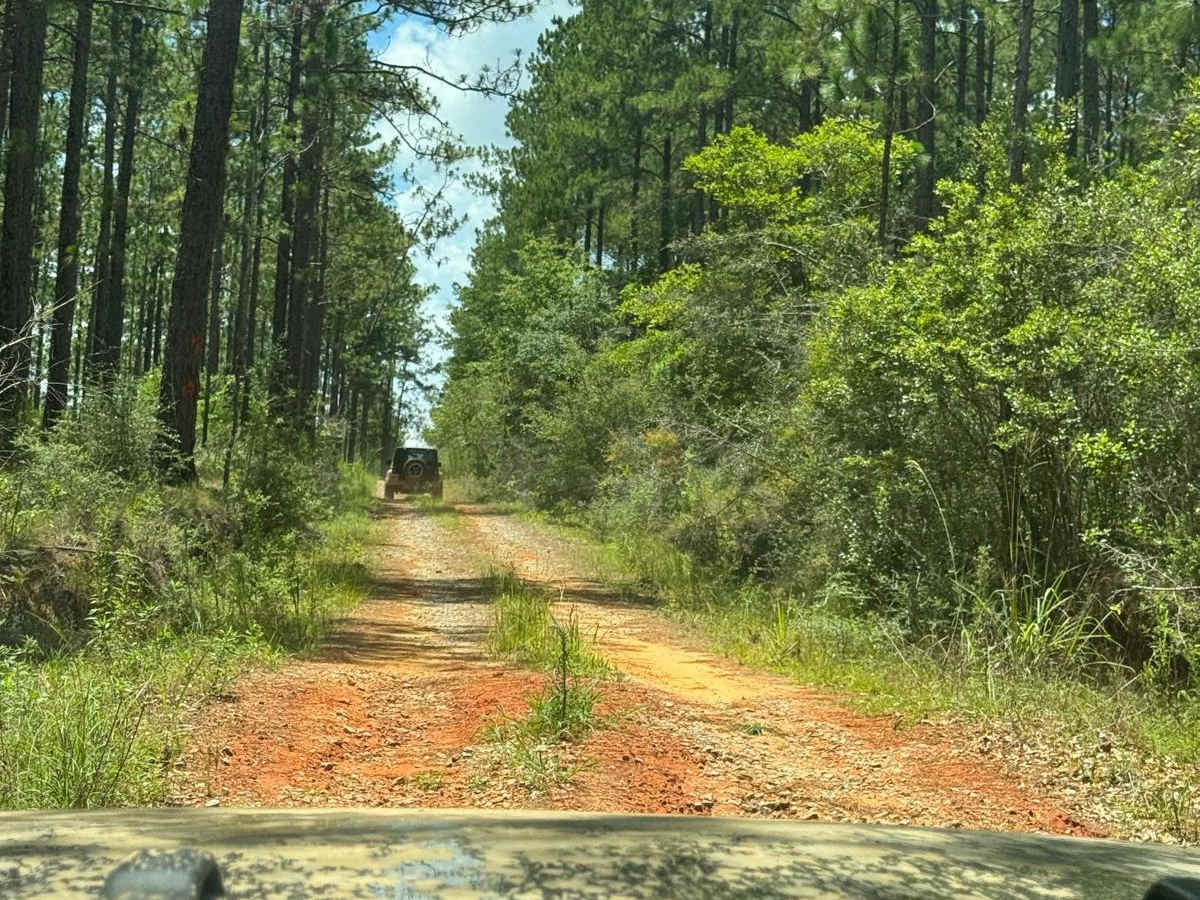 Blackwater River Route 2 photo 5