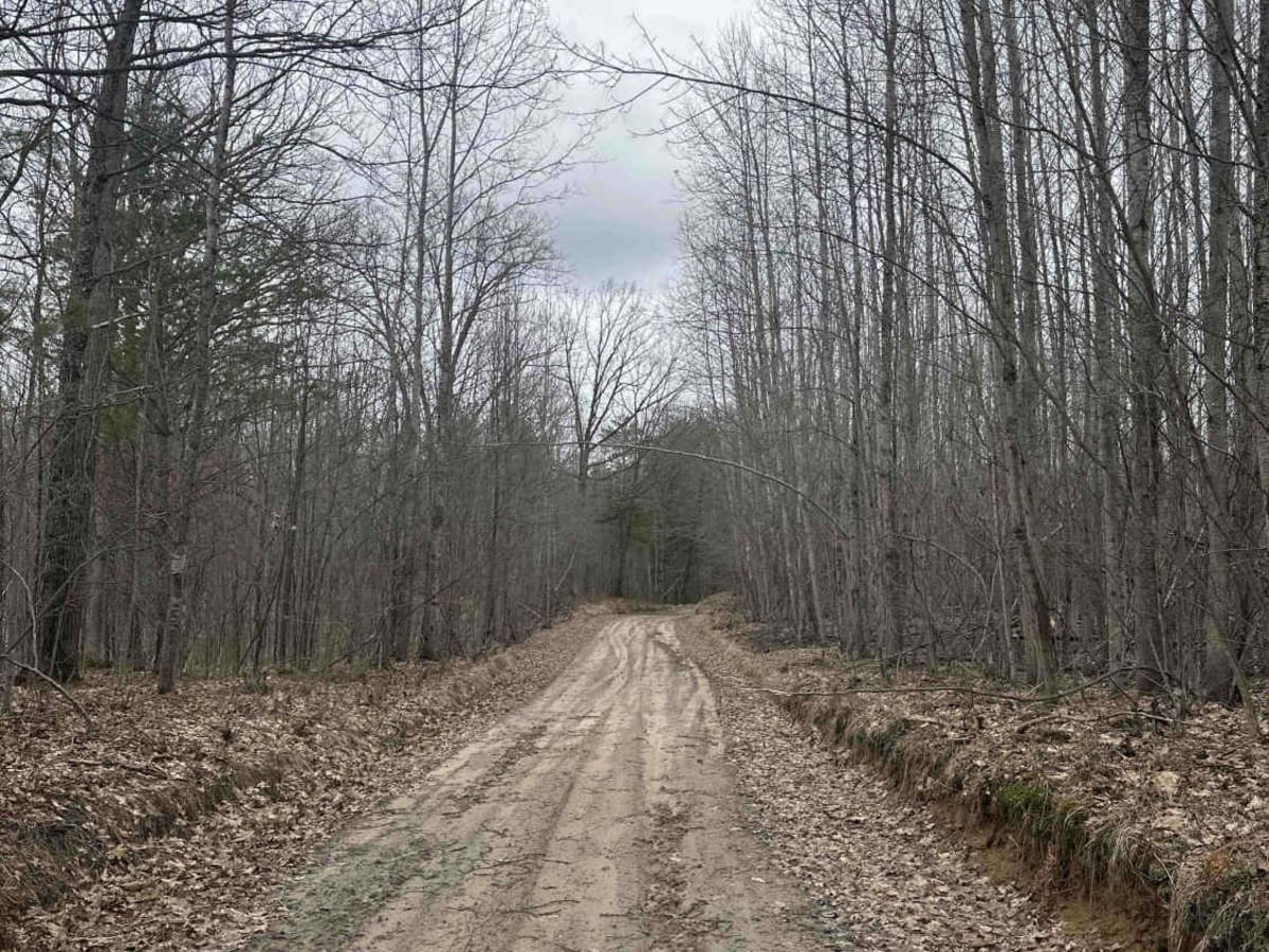 FS 4503 photo 4
