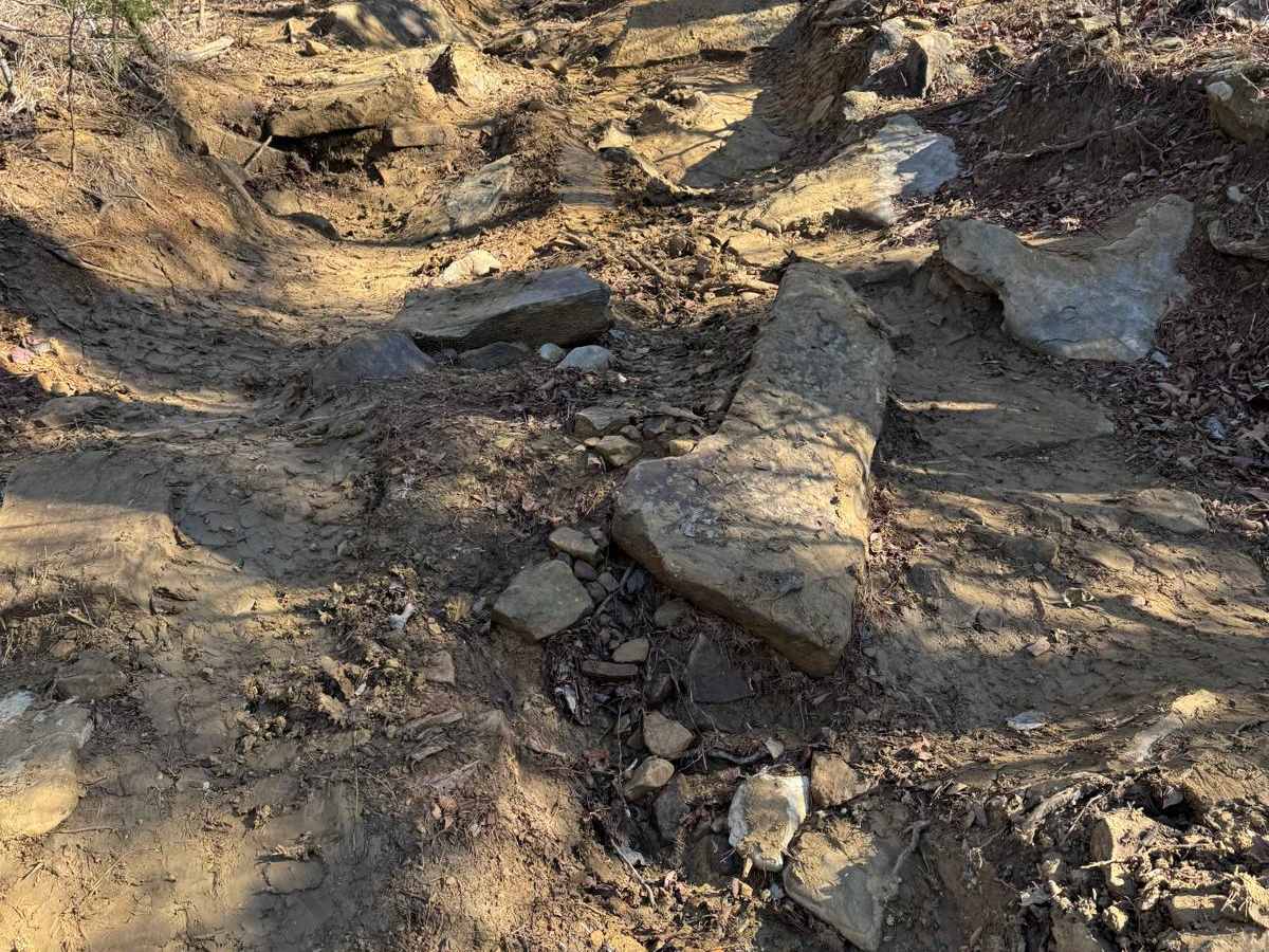 #52 Chicken Trail trail photo