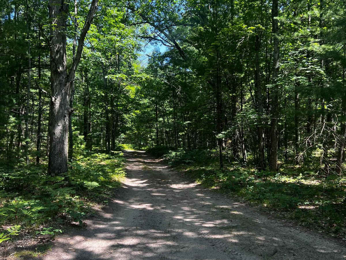 Twin Lakes Loop Trail photo 3