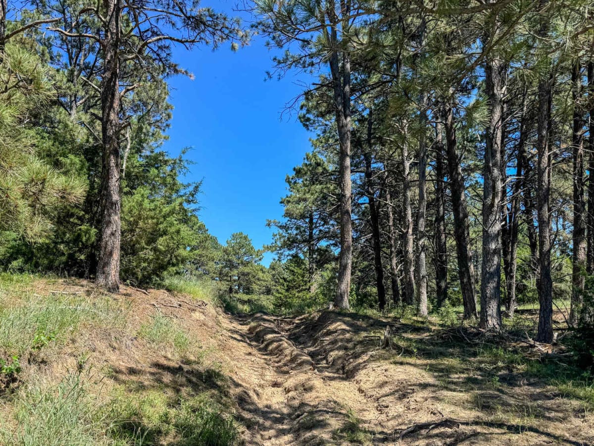 Horseshoe Bar trail photo