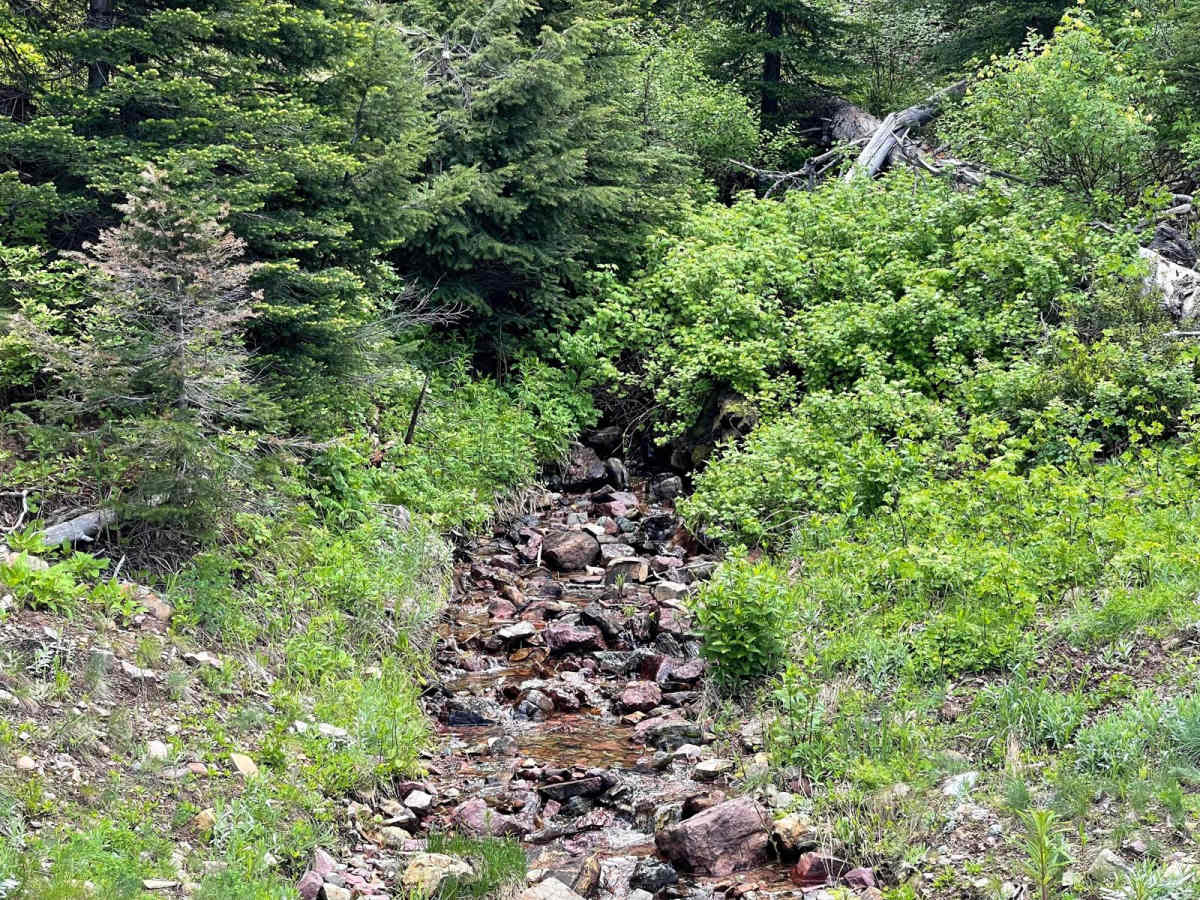 Rice Ridge Road photo 4