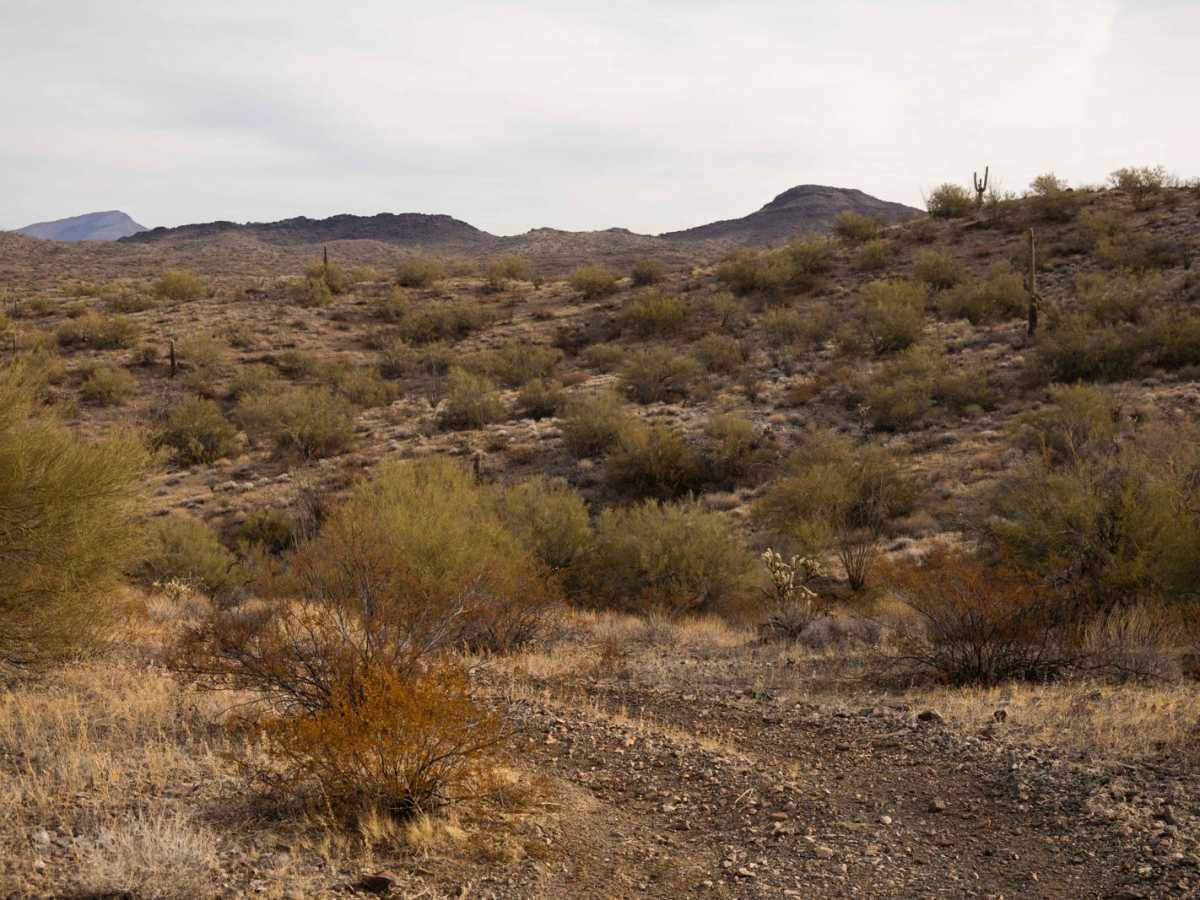 Hilltop to Blocked Canyon trail photo