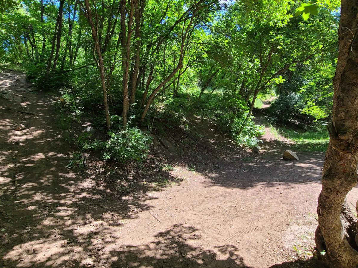Maple to Sugar Creek photo 5