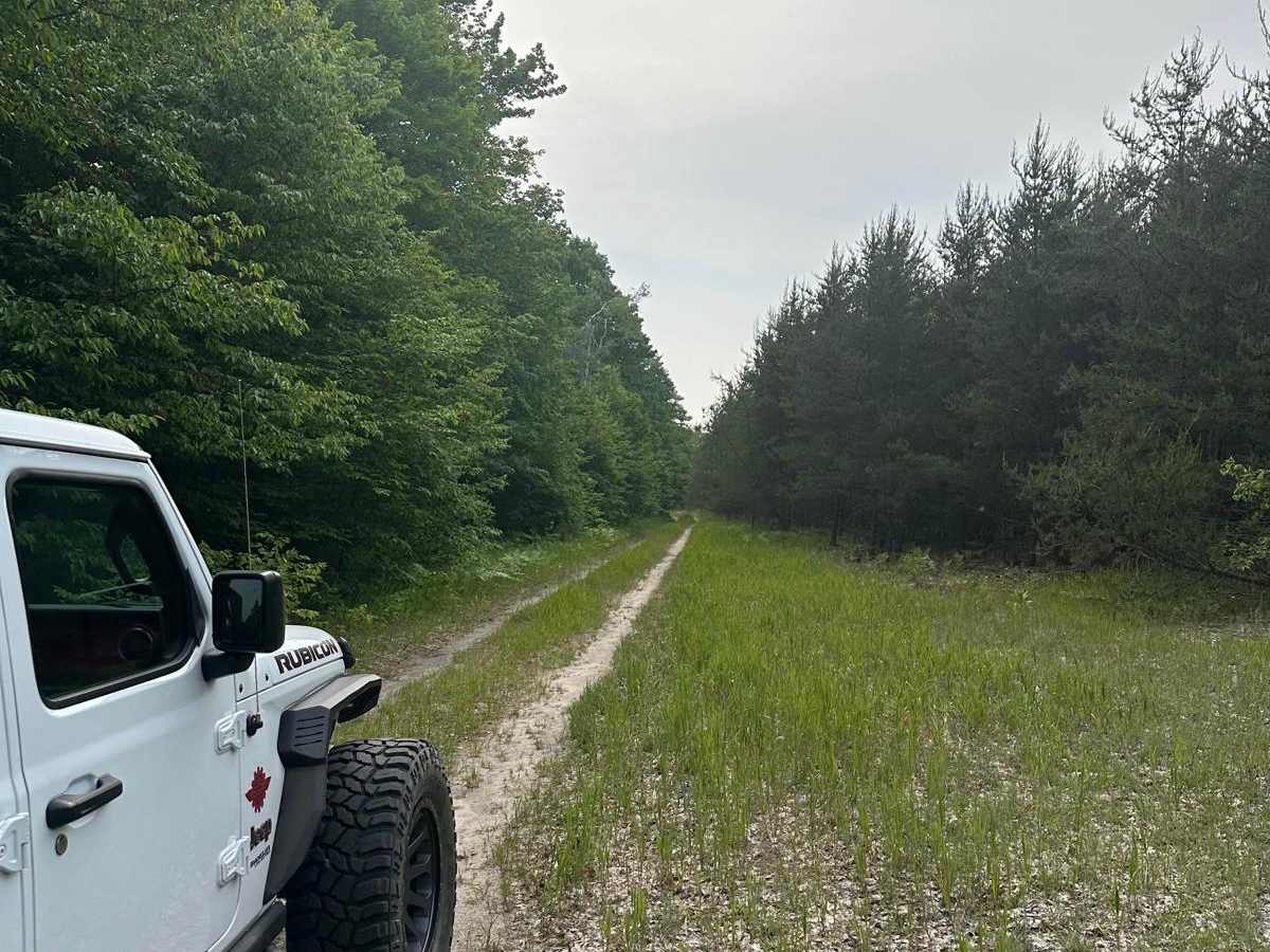 South Pioneer Loop photo 2