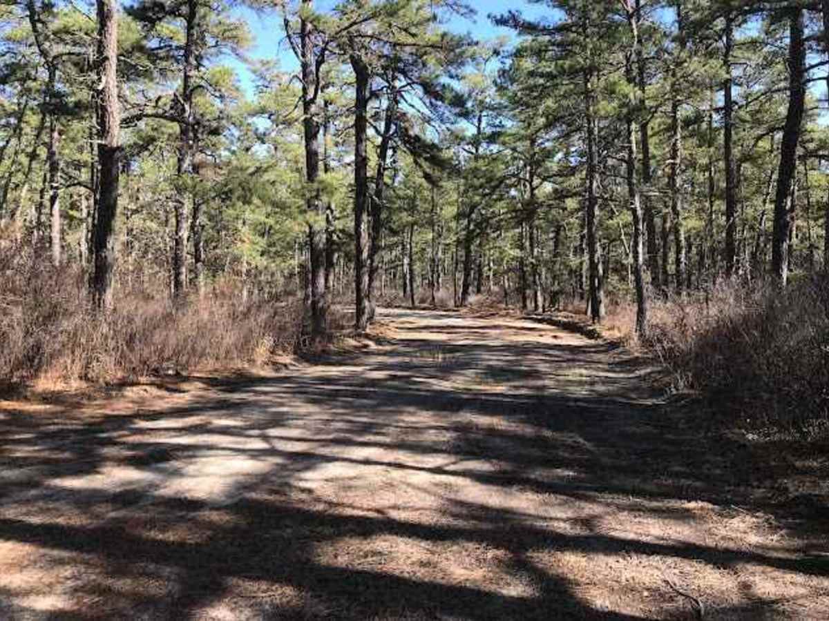 Muddy Road Trail photo 3