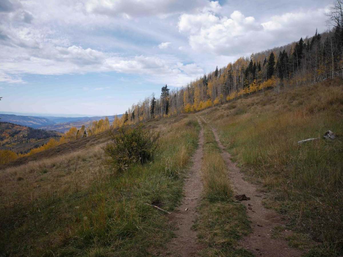 Runlett ATV trail photo