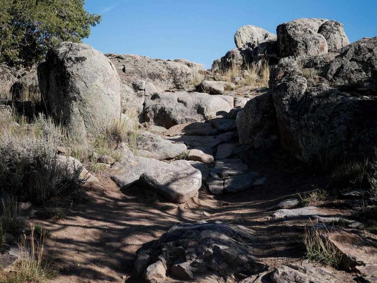 Skyline trail photo