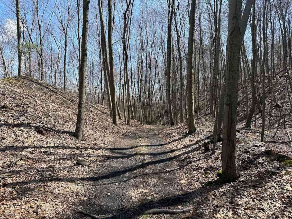 Ashland 130 trail photo