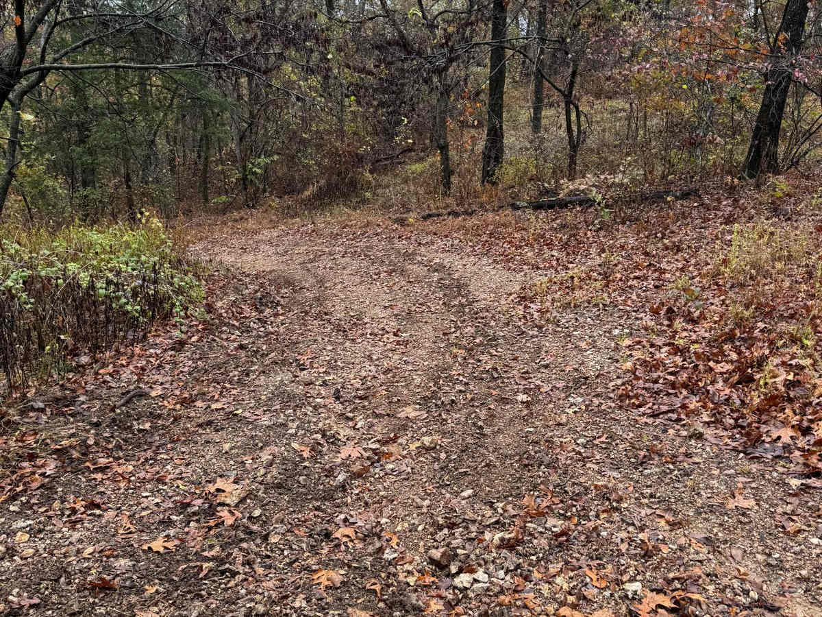 Yellow 82 trail photo