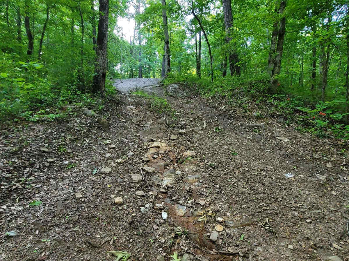 Crow's Nest Bypass photo 3