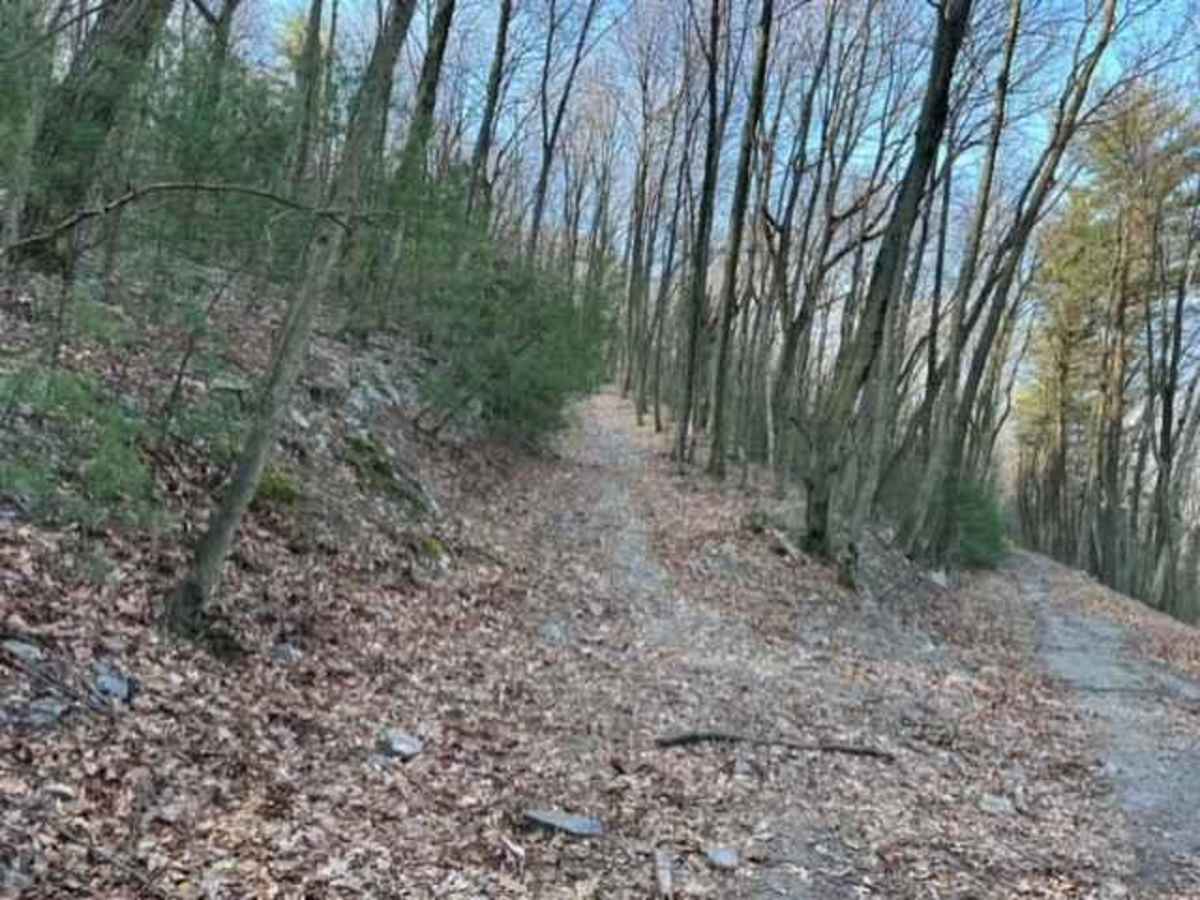 Tower City 15 trail photo