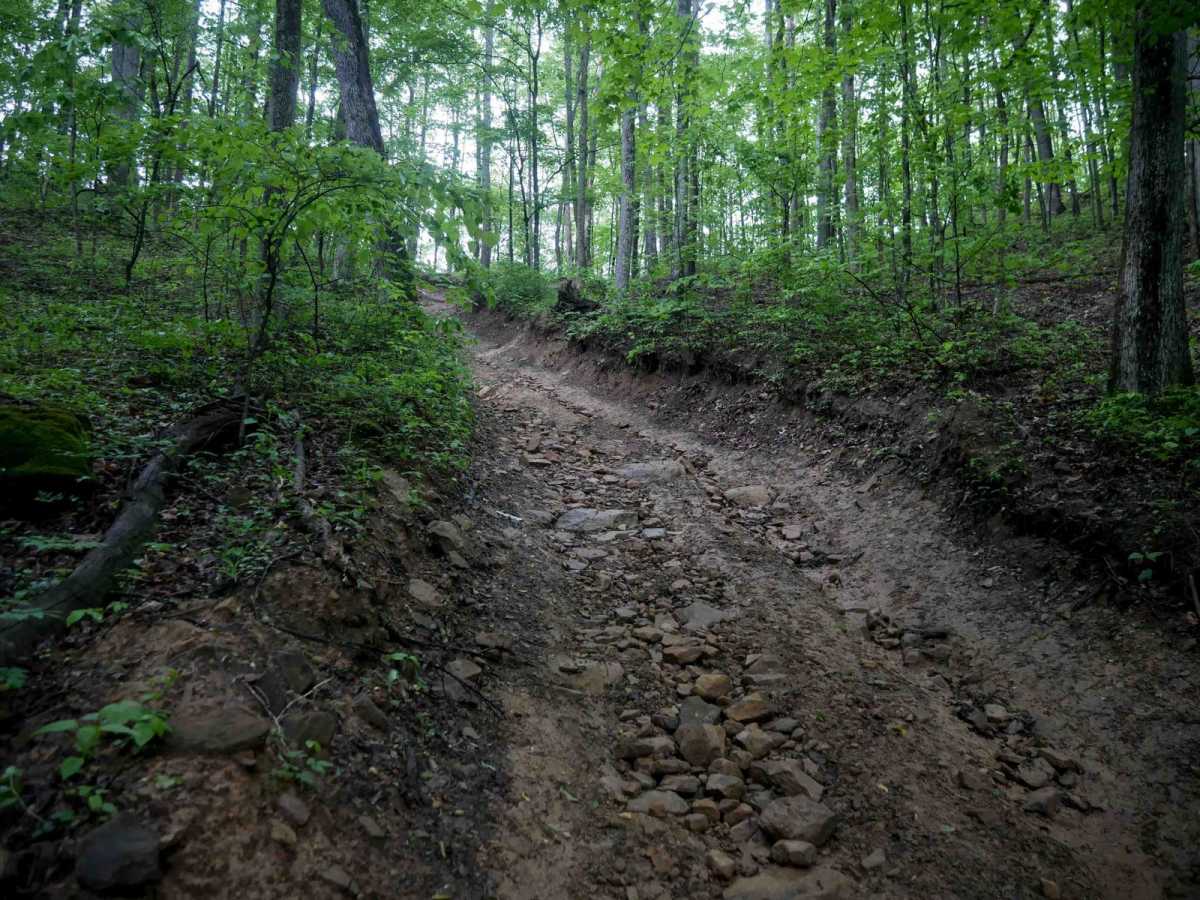 B92 trail photo
