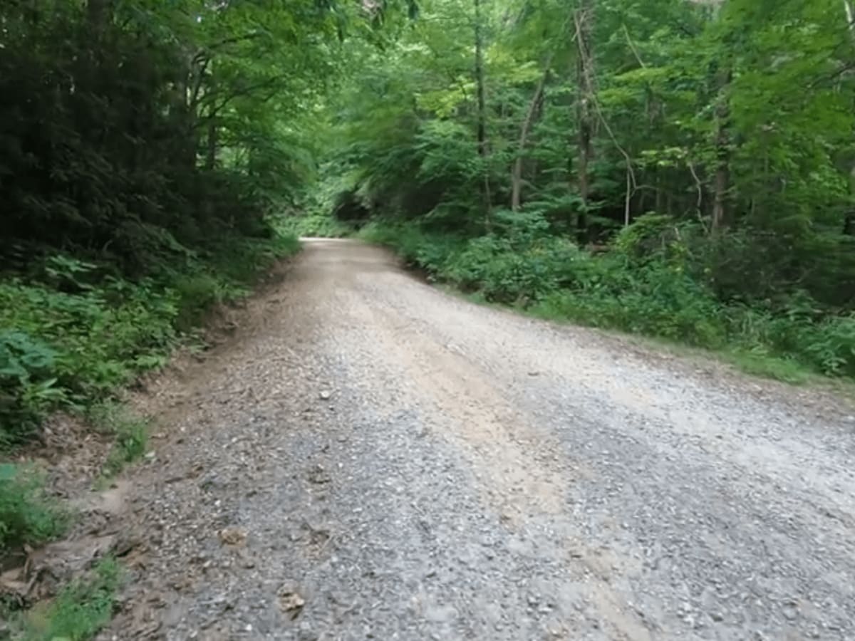 Shaws Fork trail photo