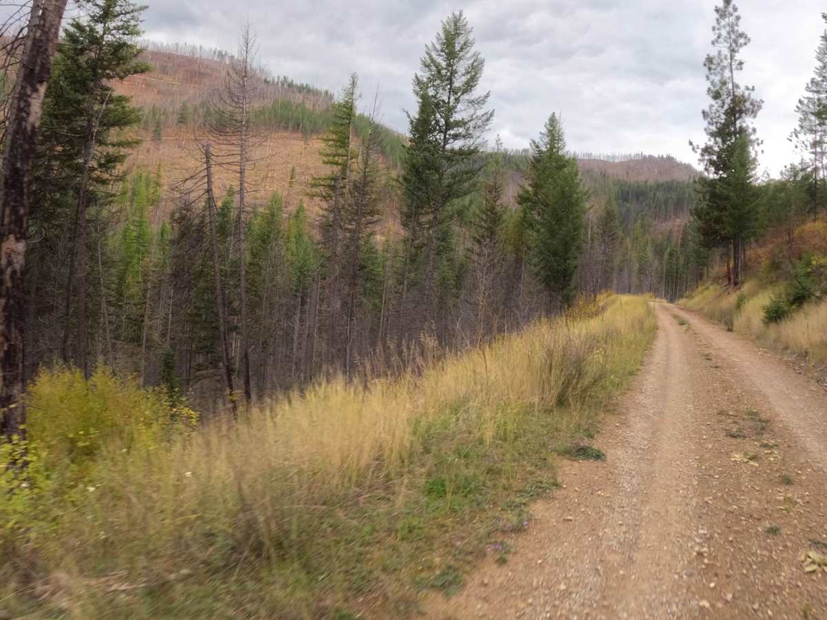 Saint Pats Road-Cyr Iron Mountain Road photo 4