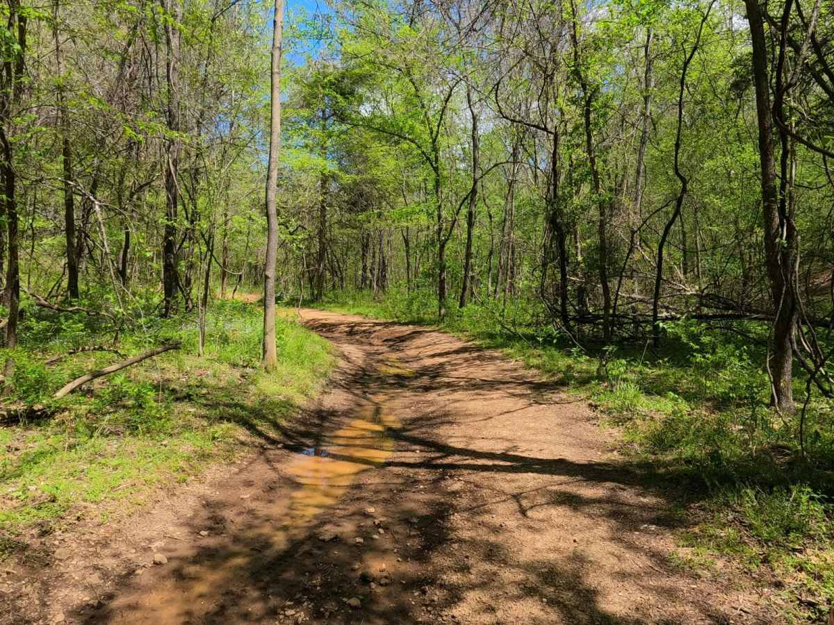 Stacked Log Trail photo 6