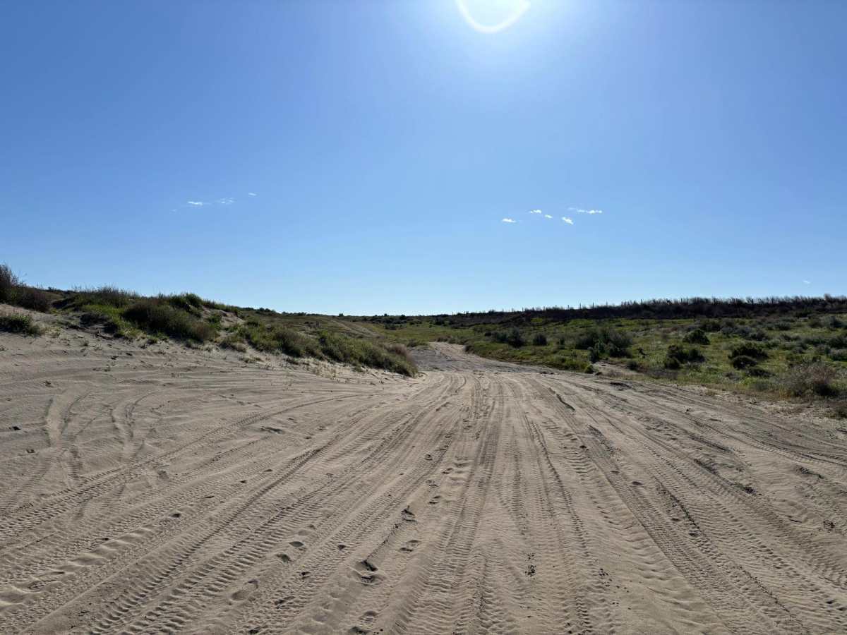 Juniper Dunes Road photo 4