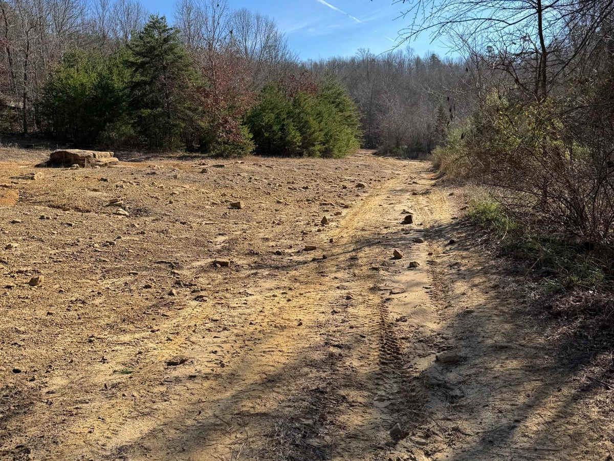 #90 Abbie's Trail photo 5