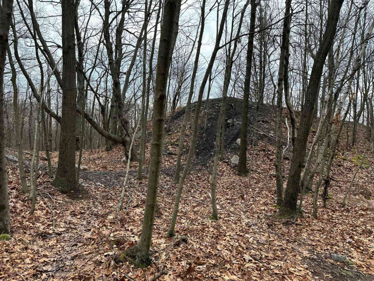 Locust Gap Single Track 4 Part 2 photo 4