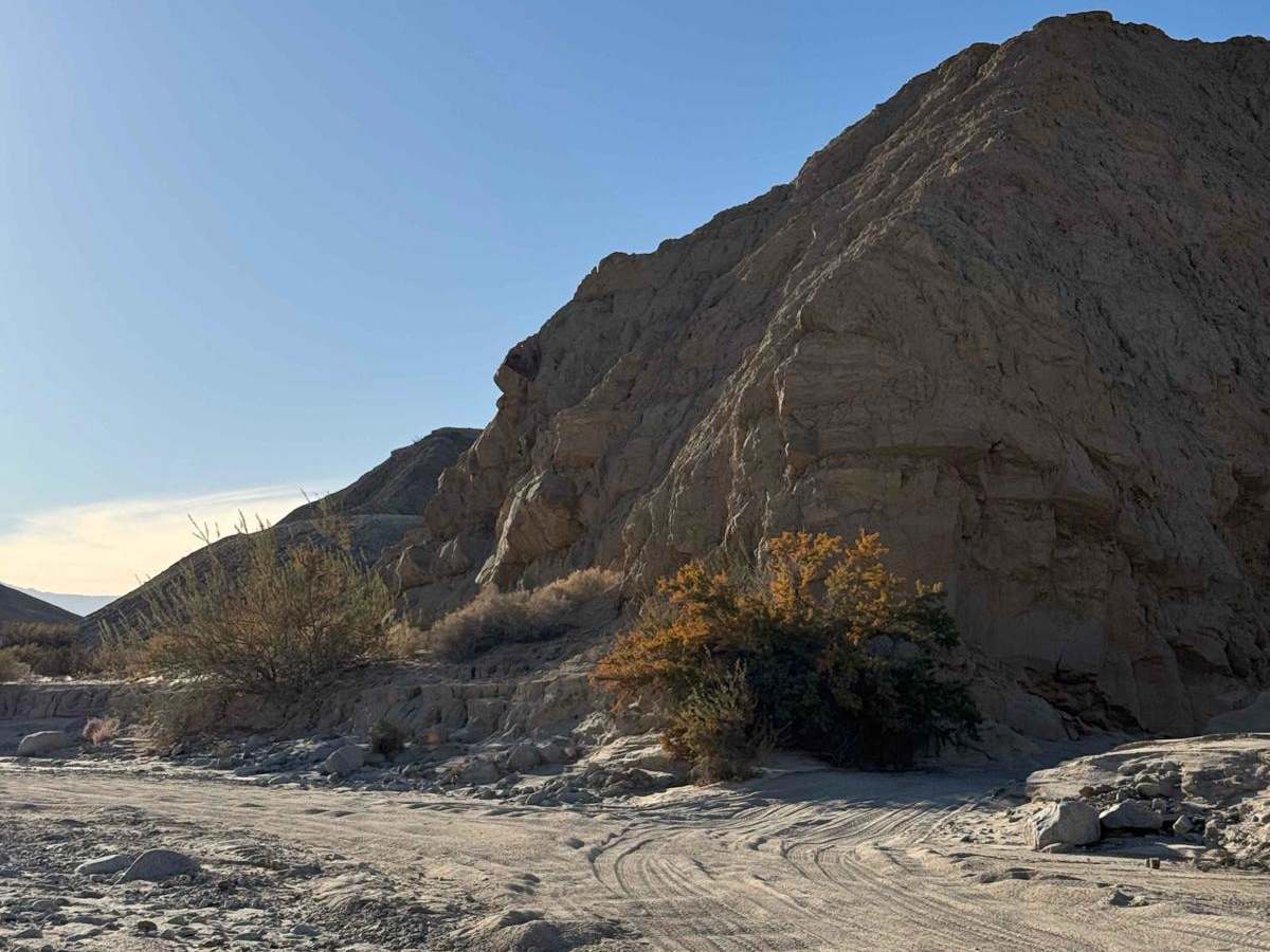 North Fork Fish Creek Wash photo 5