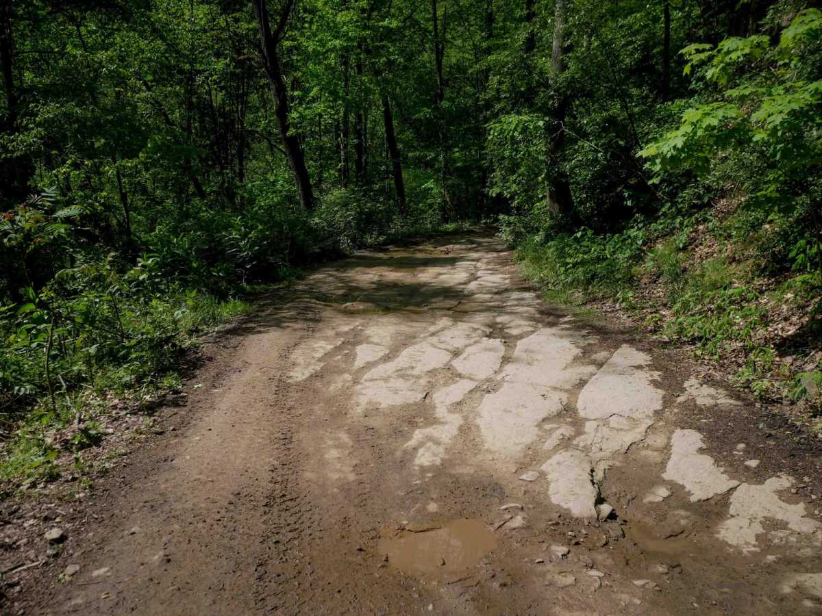 RH 33 photo 5