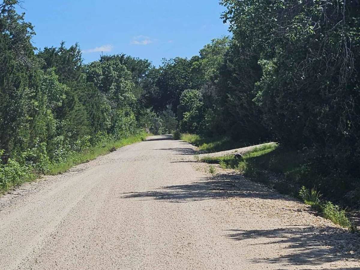 Bosque 1035 photo 6